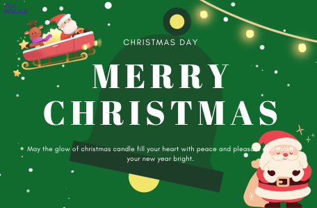 Common Rail CRDI Nozzle DLLA150P2739 Encyclopedia